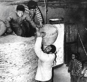 家庭聯產承包責任制