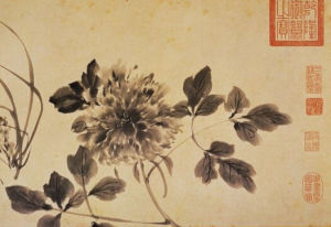 明陳淳寫生卷 明陳淳寫生卷