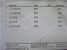 B肝感染恢復期 B肝感染恢復期