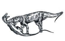 蜥鱷捕食艾雷拉龍——竊賊君王龍原創