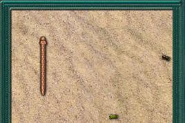 小蛇吃昆蟲 小蛇吃昆蟲