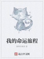 我的命運旅程 我的命運旅程