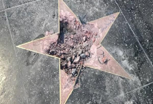 特朗普之星 特朗普之星