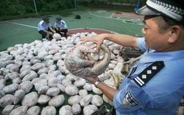 走私製毒物品罪 走私製毒物品罪