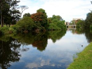 帕拉那河 帕拉那河