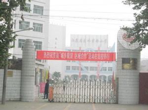 漣水縣實驗國小 漣水縣實驗國小