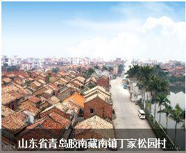 丁家松園村 丁家松園村