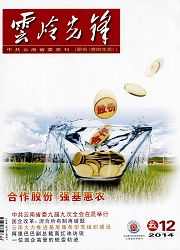 雲嶺先鋒 雲嶺先鋒