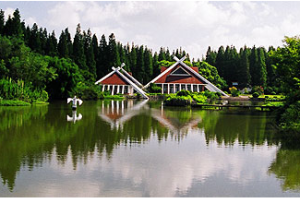 森林旅遊 森林旅遊