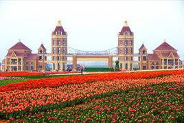 萬安山豪澤國際鬱金香花海 萬安山豪澤國際鬱金香花海