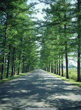 廣西壯族自治區柳州市東泉鎮