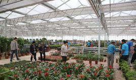 保定市農業生態園花卉展銷中心 保定市農業生態園花卉展銷中心