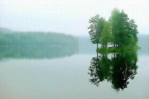 虞美人聽雨 虞美人聽雨