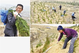 涇陽口鎮 涇陽口鎮