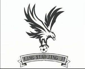 凌霄競技足球俱樂部 凌霄競技足球俱樂部