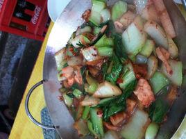 油菜火鍋 油菜火鍋