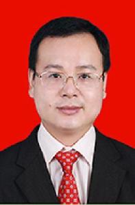 陳斌[廣西河池市人民政府黨組成員、秘書長]