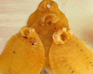 黃唇魚鰾 黃唇魚鰾