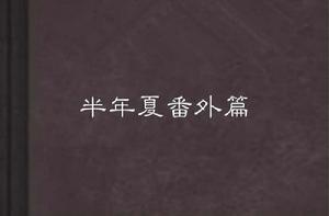 半年夏番外篇