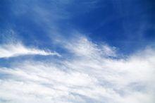 Nst[人格心理學]