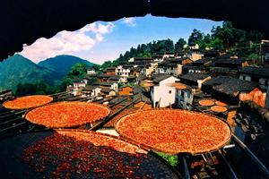 婺源寫生基地 婺源寫生基地