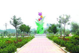 中國玫瑰之鄉 中國玫瑰之鄉