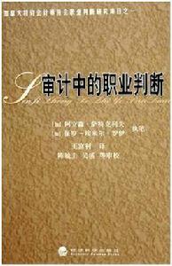 審計中的職業判斷 審計中的職業判斷