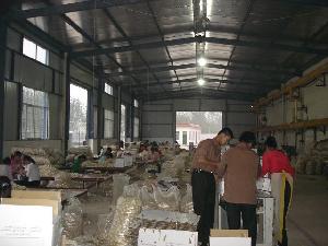 金鄉縣成功果蔬製品有限公司