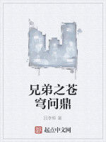 兄弟之蒼穹問鼎 兄弟之蒼穹問鼎