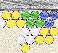 塗鴉泡泡龍 塗鴉泡泡龍