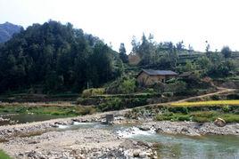 湖北西塞國國家森林公園 湖北西塞國國家森林公園