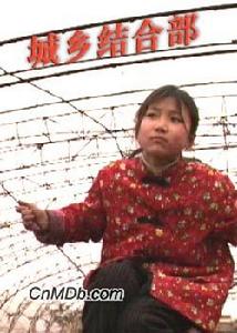 《城鄉結合部》 《城鄉結合部》