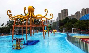 阿酋灣水上樂園 阿酋灣水上樂園