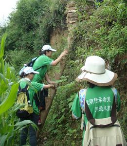 在光明的道路上，我們從未停下