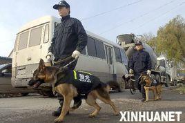 攜犬巡邏機制 攜犬巡邏機制