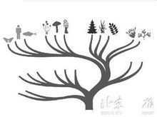 真核生物域 真核生物域