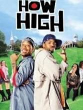 High到哈佛 High到哈佛