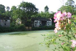 朱木山村 朱木山村