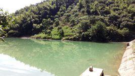 杜岙村[觀海衛鎮杜岙村]