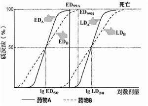 質反應量效關係 質反應量效關係
