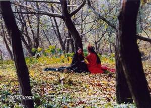 《新聊齋志異之小倩》