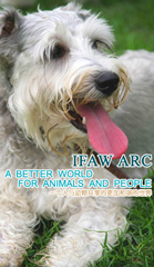 中國伴侶動物網 中國伴侶動物網