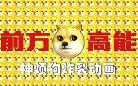 前方高能之神煩狗 前方高能之神煩狗