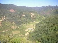 聽弄自然村耕地