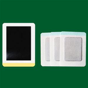 河北康正藥業有限公司