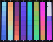 蝶翼顯示器的顯色效果