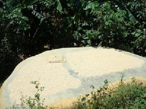 攏保二自然村-小水窖