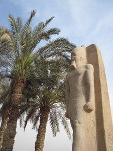 吉薩&middot;孟斐斯的棕櫚樹和古遺蹟