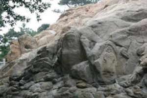 孔望山摩崖石刻 孔望山摩崖石刻