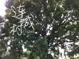 連城村[廣東省揭陽市揭西縣]